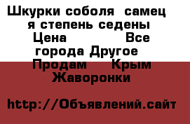 Шкурки соболя (самец) 1-я степень седены › Цена ­ 12 000 - Все города Другое » Продам   . Крым,Жаворонки